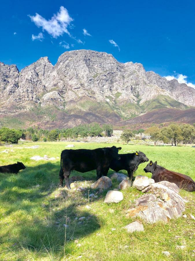 The Barn In Franschoek Affittacamere Franschhoek Esterno foto