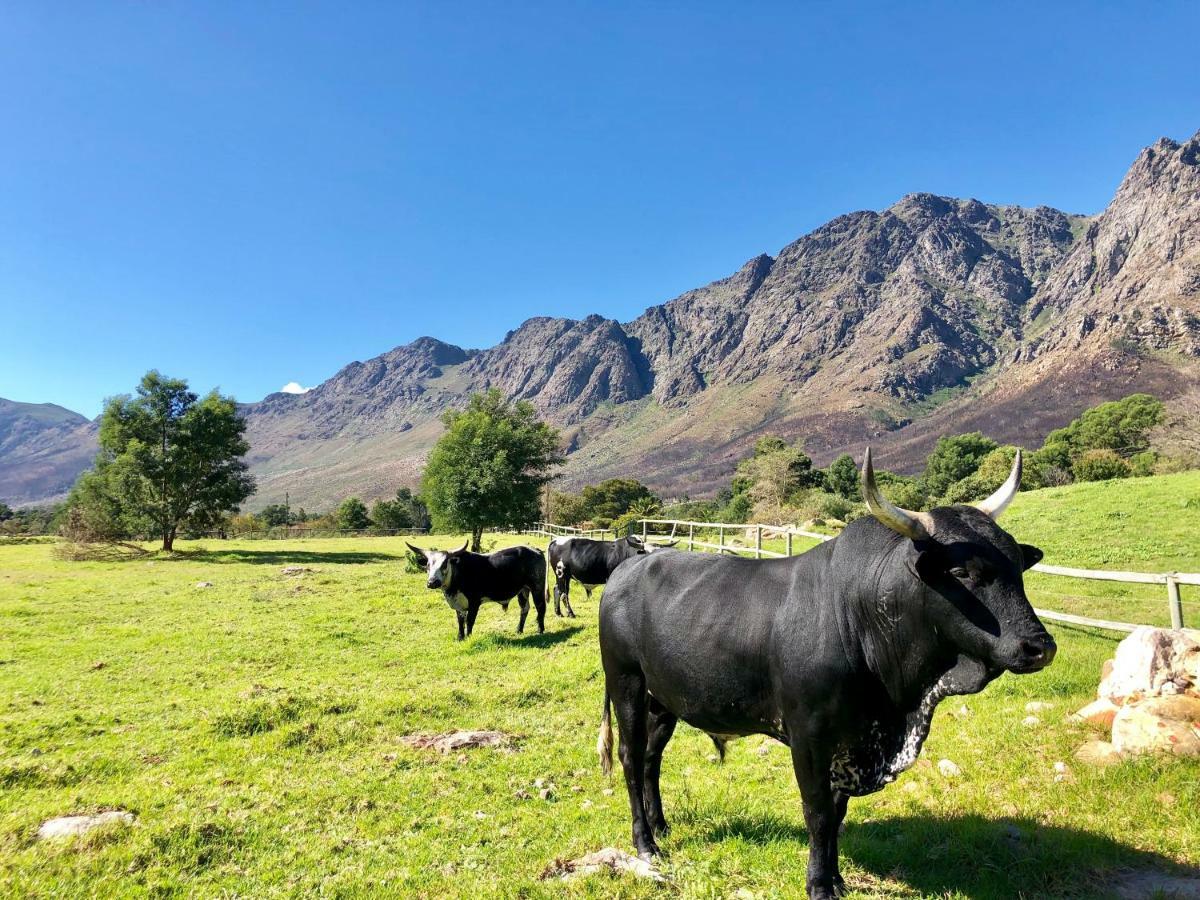 The Barn In Franschoek Affittacamere Franschhoek Esterno foto